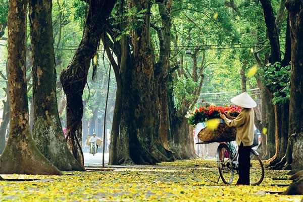 Hanoi city tour (from 8.30am to 4.00pm): USD39/person